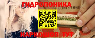 эйфоретик Можга