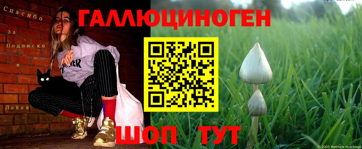 Асбест  Псилоцибиновые грибы Psilocybine cubensis  Вход с VPN  Галлюциногенные грибы ЛСД 